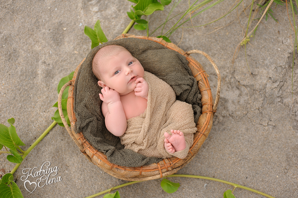 A Cute Baby Boy in a Basket